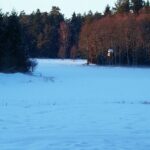 2006-017 Zaroślak 11.02.2006