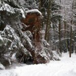 2006-027 ukryta ambona S.B.