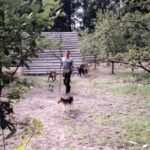 2003-006 nasze dziki w obw. 1