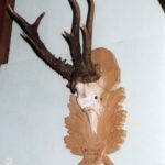 2003-056 tragi i wystawa łowiecka 2003