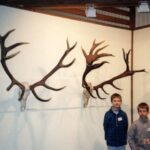 2003-057 tragi i wystawa łowiecka 2003