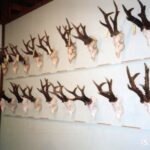 2003-058 tragi i wystawa łowiecka 2003