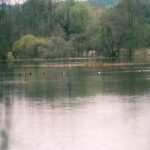 2005-002 Trojan Mierzwice V 05