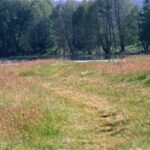 2005-013 Dudek Burzysko V 05