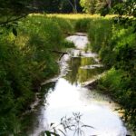 2005-025 przy bobrzym mostku