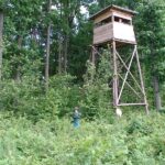 2005-045 ambona w l. konstantynowskim