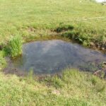 2005-057 żródełko nad Bugiem