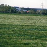 2005-075 pole przy Leśniańskim