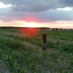 2005-085 zachód słonca na Polinowie