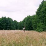 2005-090 Polowanie na kaczki