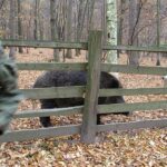 2005-133 wizyta u dzików