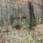 2005-145 jesienna sceneria w l. konstantynowskim