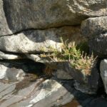 Norwegia 24 do 29.09.2008r. 067