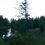 Norwegia 24 do 29.09.2008r. 078