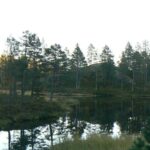 Norwegia 24 do 29.09.2008r. 079