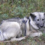 Norwegia 24 do 29.09.2008r. 122