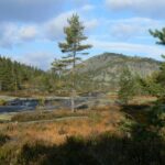 Norwegia 24 do 29.09.2008r. 134