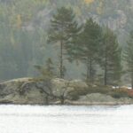 Norwegia 24 do 29.09.2008r. 182