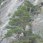 Norwegia 24 do 29.09.2008r. 192