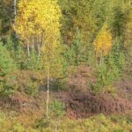 Norwegia 24 do 29.09.2008r. 194