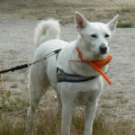 Norwegia 24 do 29.09.2008r. 207