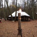 signal-2023-11-25-12-02-07-323