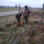 signal-2023-11-25-12-02-07-323-2