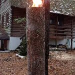 signal-2023-11-25-12-04-01-589