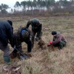 signal-2023-11-25-12-04-01-589-9