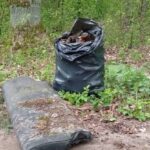 signal-2024-04-23-11-01-08-146-9