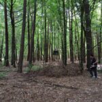 signal-2024-08-12-07-55-06-563-5