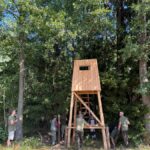 signal-2024-08-28-09-13-00-980-10