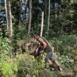 signal-2024-08-28-09-13-00-980-11