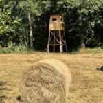 signal-2024-08-28-09-13-00-980-19