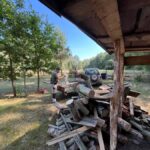 signal-2024-08-28-09-13-00-980-24