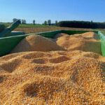 signal-2024-10-17-21-04-13-018