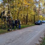 signal-2024-10-19-19-33-47-708-4