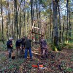 signal-2024-10-19-19-33-47-708-5