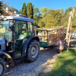 signal-2024-10-19-19-33-47-708-7