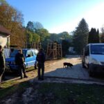 signal-2024-10-19-19-33-47-708-9