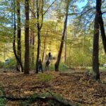 signal-2024-10-19-19-35-43-269-8