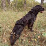 signal-2024-10-19-19-42-01-933-10