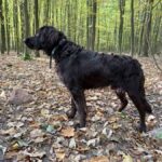 signal-2024-10-19-19-42-01-933-15