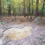 signal-2024-10-19-19-42-01-933-4