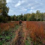 signal-2024-10-19-19-42-01-933-7