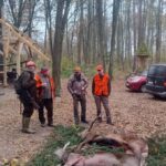 signal-2024-11-10-14-50-41-037-1