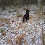 signal-2025-01-13-21-08-09-673-1