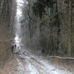 signal-2025-01-13-21-08-09-673-2