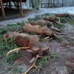 signal-2025-01-13-21-08-45-592