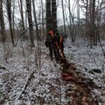 signal-2025-01-13-21-08-45-592-2